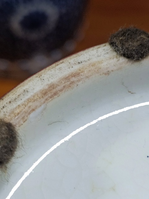 古玩陶瓷天球瓶真品鑒賞圖