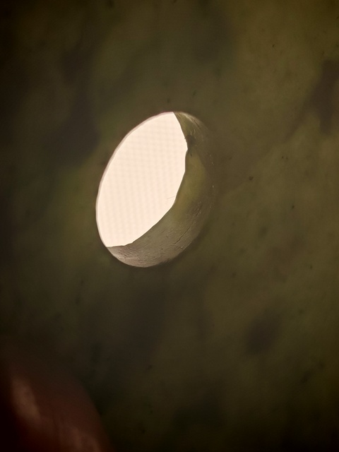 古玩玉器玉璧真品鑒賞圖