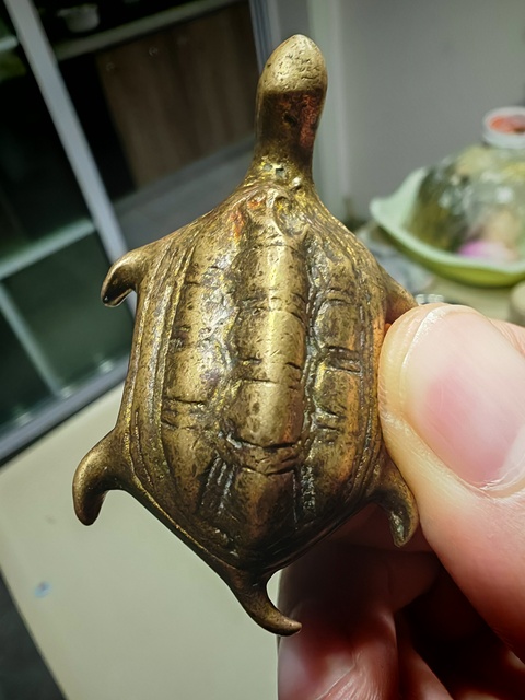 古玩銅器銅龜真品鑒賞圖