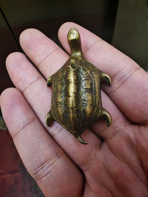 古玩銅器銅龜真品鑒賞圖