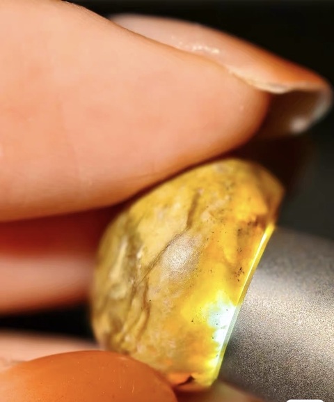 古玩玉器扣子真品鑒賞圖