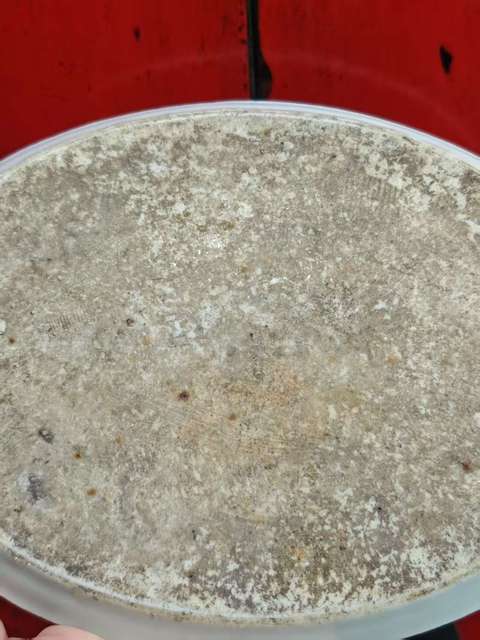 古玩陶瓷樓臺亭閣山水紋青花盤真品鑒賞圖