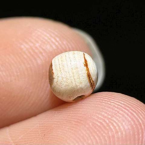 古玩玉器宋代.帶眼睛纏絲瑪瑙珠子拍賣，當前價格0元