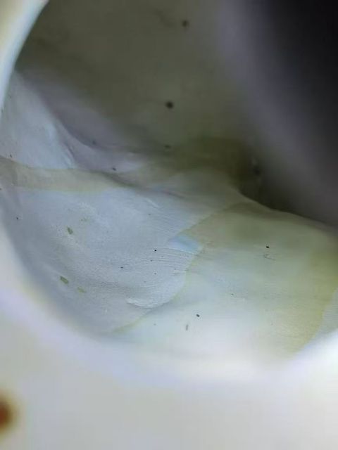 古玩陶瓷彌勒佛真品鑒賞圖