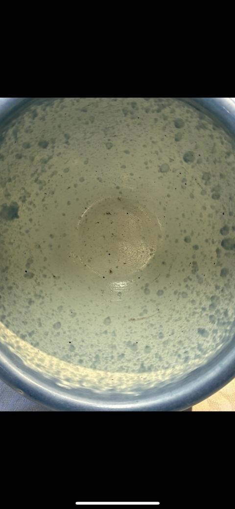 古玩陶瓷藍(lán)上藍(lán)加白花卉紋缸真品鑒賞圖