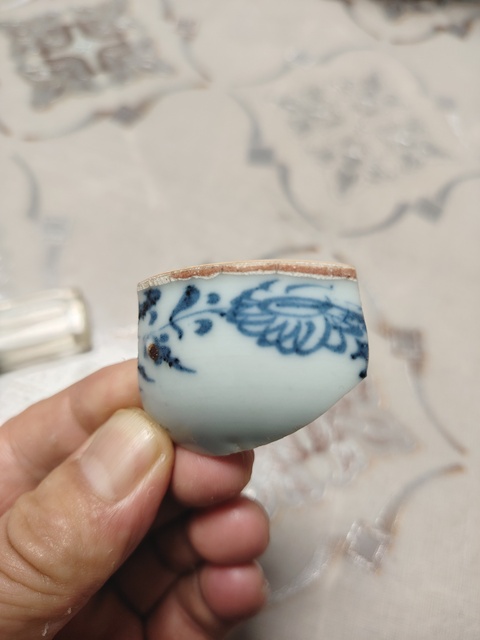 古玩陶瓷青花花卉紋標(biāo)本真品鑒賞圖