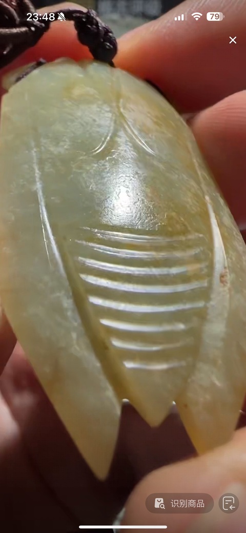 古玩玉器和田玉雕“八刀蟬”真品鑒賞圖