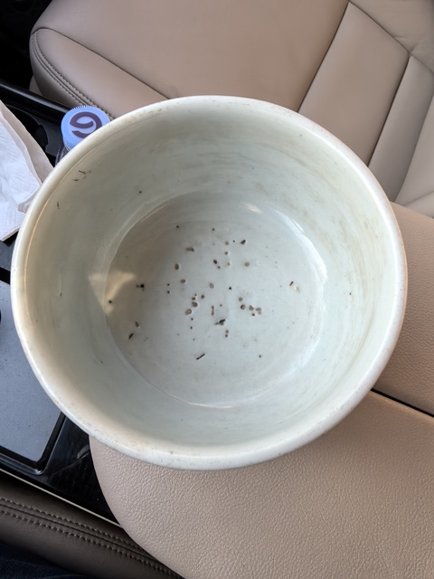 古玩陶瓷青花高足碗真品鑒賞圖