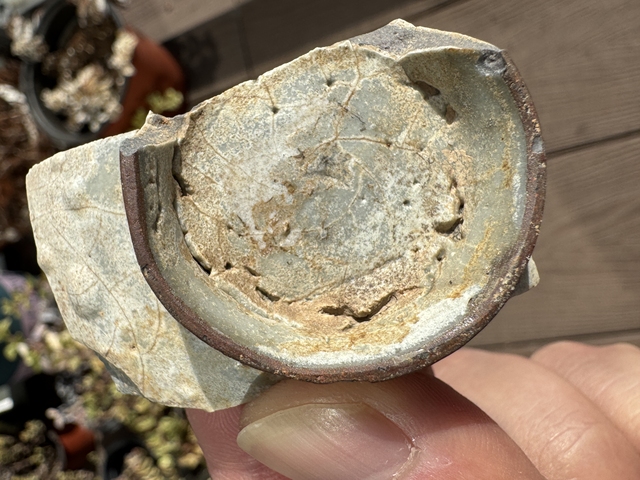 古玩陶瓷官窯標本真品鑒賞圖