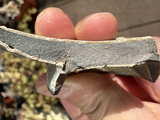 古玩陶瓷官窯標本真品鑒賞圖