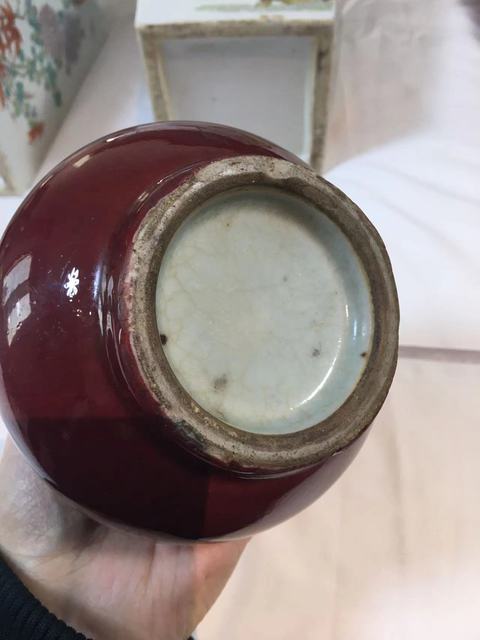 古玩陶瓷郎紅釉膽瓶真品鑒賞圖