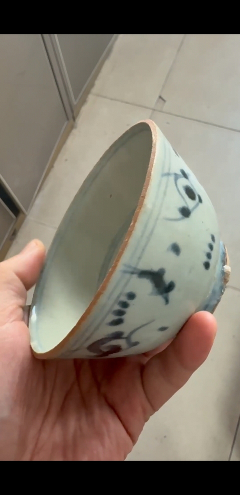 古玩陶瓷魚(yú)藻紋杯真品鑒賞圖