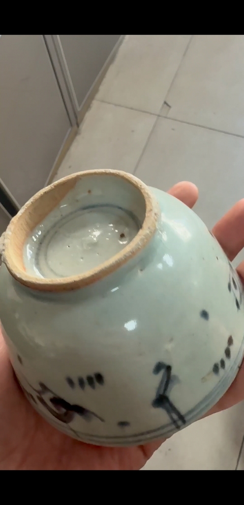 古玩陶瓷魚(yú)藻紋杯真品鑒賞圖