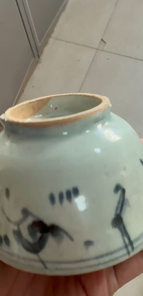 古玩陶瓷魚(yú)藻紋杯真品鑒賞圖