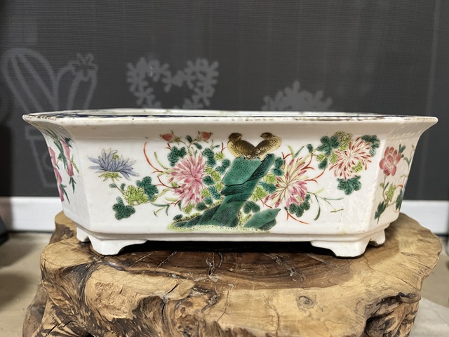 古玩陶瓷粉彩花鳥紋水仙盆拍賣，當前價格3999元