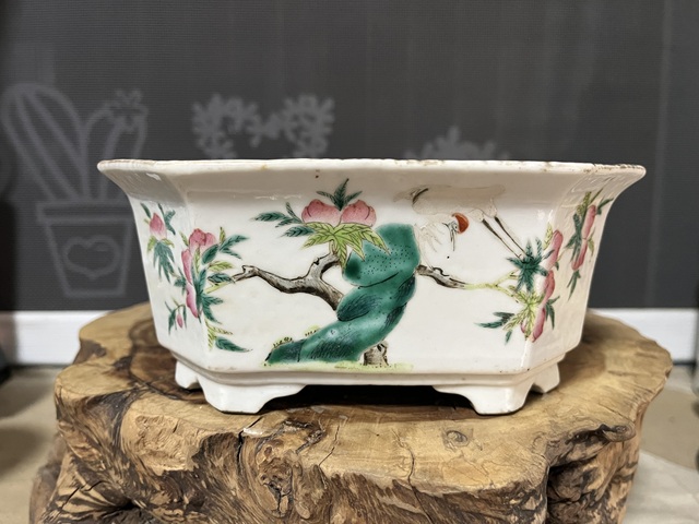 古玩陶瓷粉彩花鳥紋水仙盆拍賣，當前價格3999元