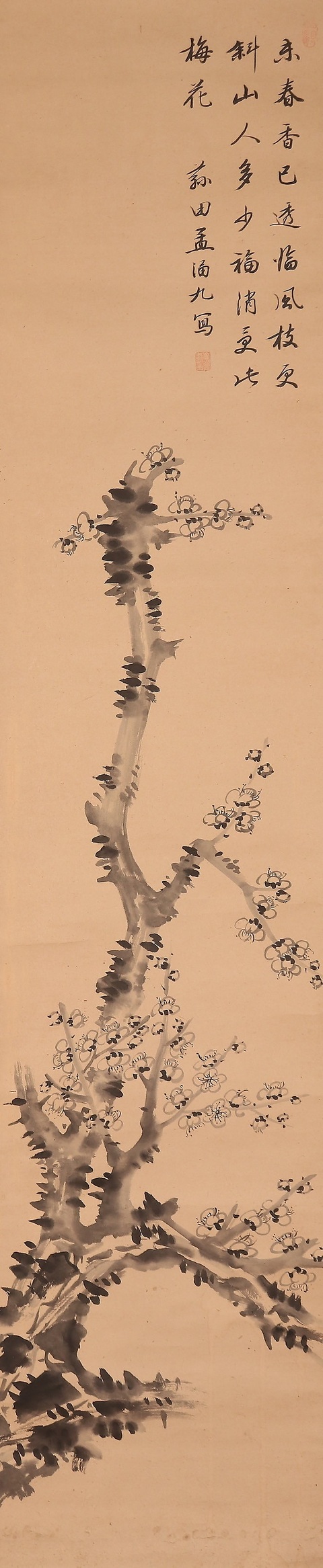 古玩字畫孟涵九梅花立軸真品鑒賞圖