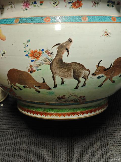 古玩陶瓷雍乾彩繪缸真品鑒賞圖