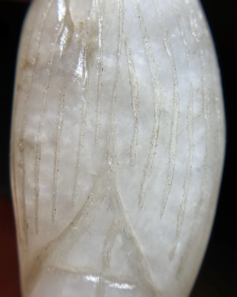 古玩玉器和田玉雕“苞米掛件”真品鑒賞圖