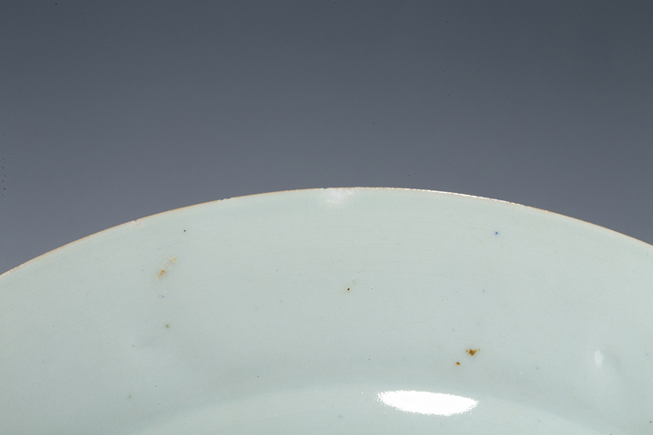 古玩陶瓷清中·青花花卉紋折沿盤拍賣，當前價格413元