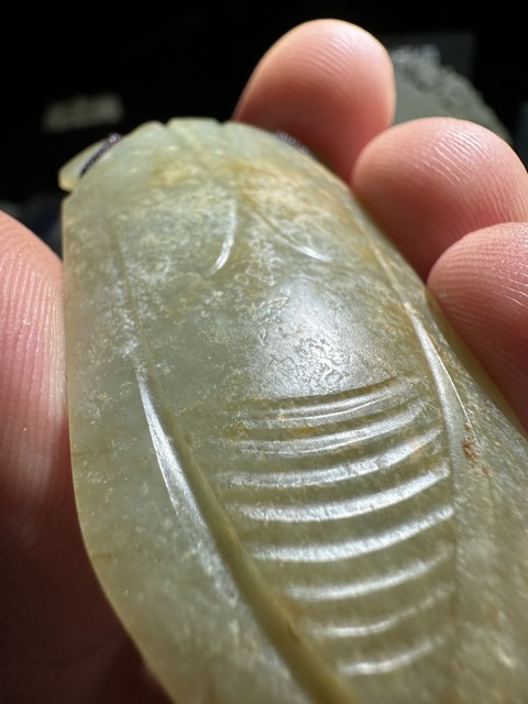 古玩玉器和田玉雕“八刀蟬”真品鑒賞圖