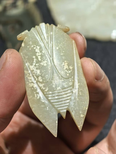 古玩玉器八刀蟬真品鑒賞圖