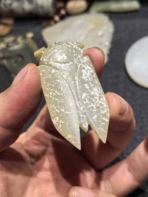 古玩玉器八刀蟬真品鑒賞圖