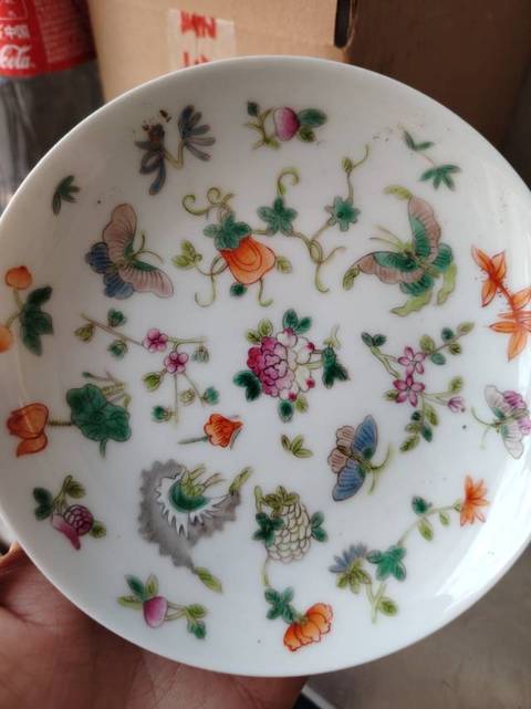 古玩陶瓷粉彩花卉盤真品鑒賞圖