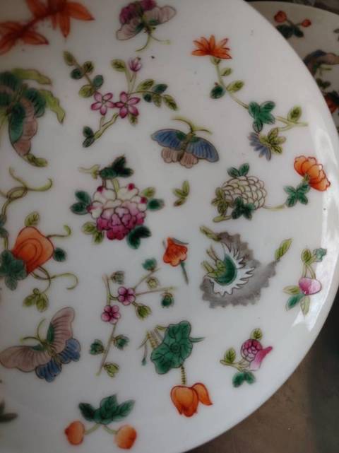 古玩陶瓷粉彩花卉盤真品鑒賞圖