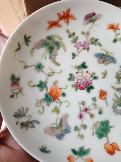 古玩陶瓷粉彩花卉盤真品鑒賞圖