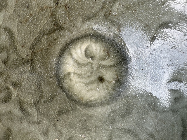 古玩陶瓷耀州窯纏枝花卉紋斗笠盞真品鑒賞圖