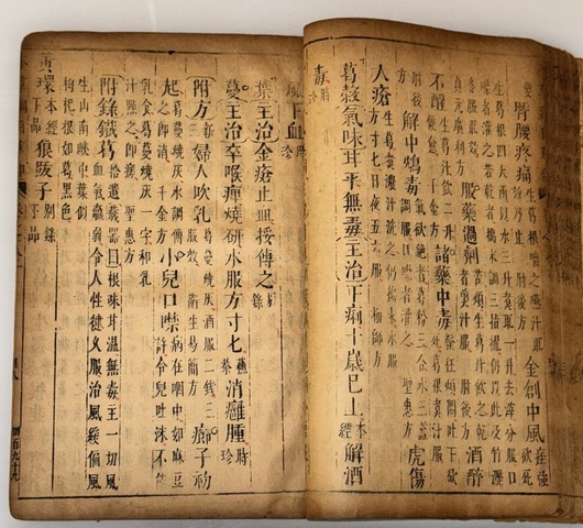 古玩字畫《本草綱目》真品鑒賞圖