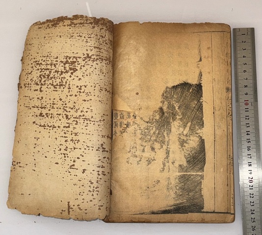 古玩字畫《本草綱目》真品鑒賞圖