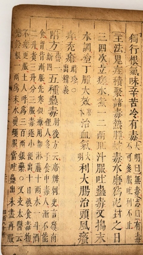 古玩字畫《本草綱目》真品鑒賞圖