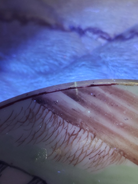 古玩陶瓷清中期石稚雞圖碟拍賣，當(dāng)前價(jià)格880元