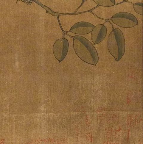 古玩字畫佚名工筆花鳥真品鑒賞圖