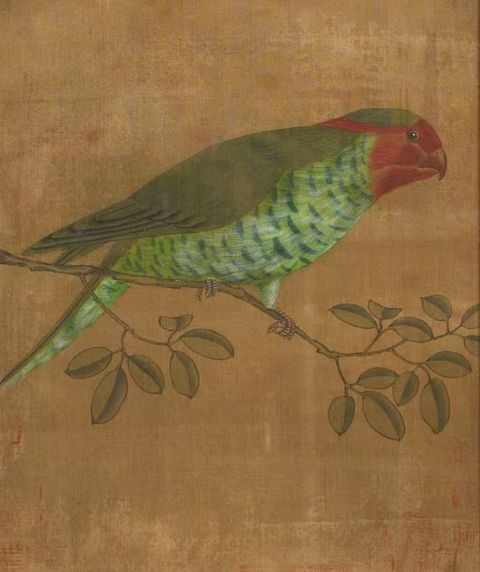 古玩字畫佚名工筆花鳥真品鑒賞圖