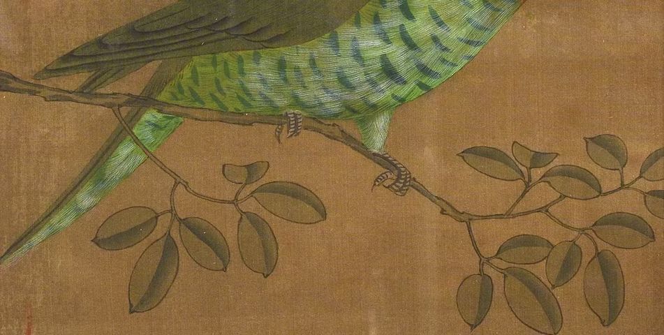 古玩字畫佚名工筆花鳥真品鑒賞圖