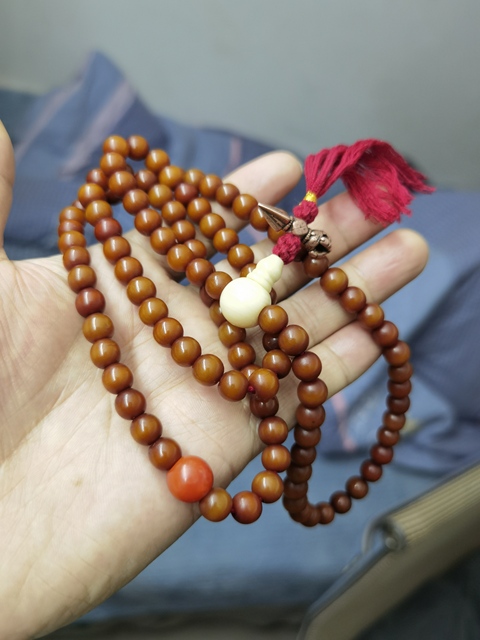 古玩雜項菩提根象牙果文玩珠串真品鑒賞圖