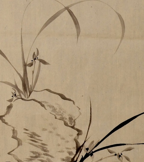 古玩字畫沈尹默蘭花真品鑒賞圖