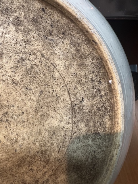 古玩陶瓷清晚期青花釉里紅魚盤真品鑒賞圖