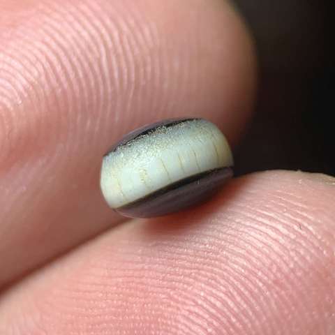 古玩玉器宋代.瑪瑙藥師珠拍賣，當前價格0元