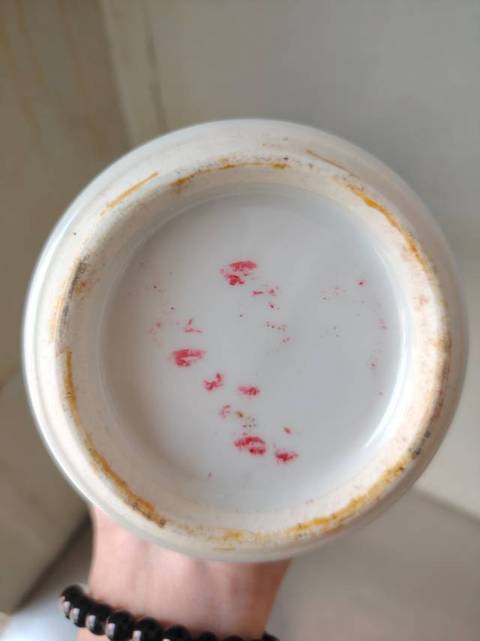 古玩陶瓷青花梅紋梅瓶真品鑒賞圖