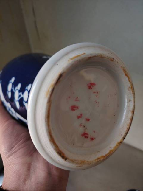 古玩陶瓷青花梅紋梅瓶真品鑒賞圖