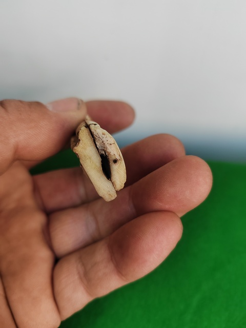 古玩雜項骨雕人物真品鑒賞圖