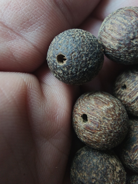 古玩雜項木珠真品鑒賞圖