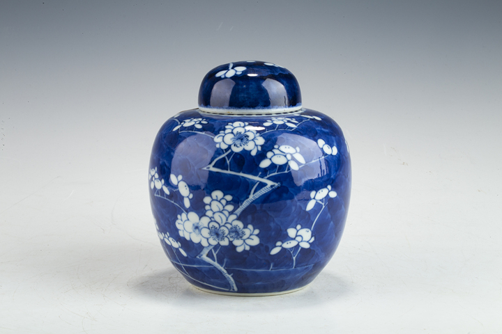 古玩陶瓷·青花留白冰梅紋蓋罐
真品鑒賞圖