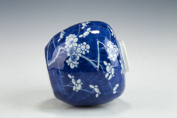 古玩陶瓷·青花留白冰梅紋蓋罐
真品鑒賞圖