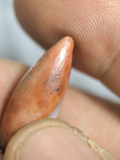 古玩雜項墜飾真品鑒賞圖