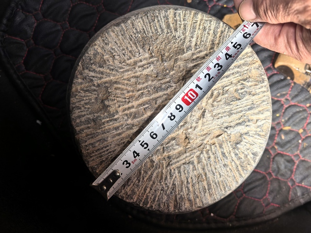 古玩雜項石鼓真品鑒賞圖